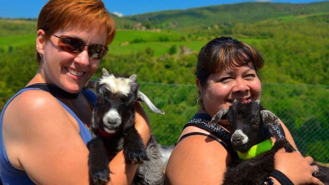 Going off the beaten path in the Tuscan hills to learn about the goats that help make beautiful cashmere products